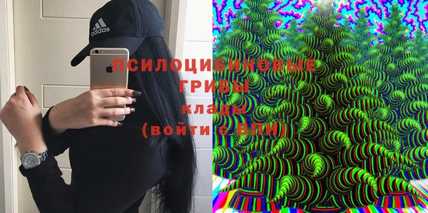 соль курить ск Липки
