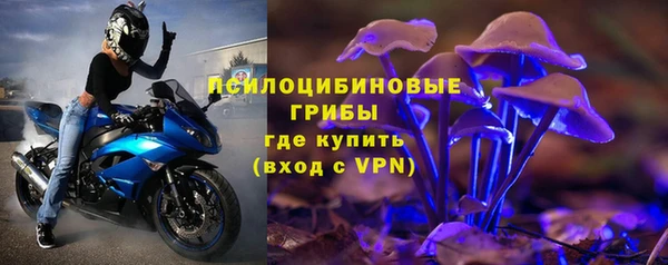 прущая мука Арсеньев