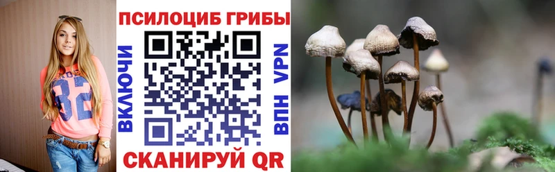 Псилоцибиновые грибы GOLDEN TEACHER  где можно купить   blacksprut маркетплейс  Поронайск 